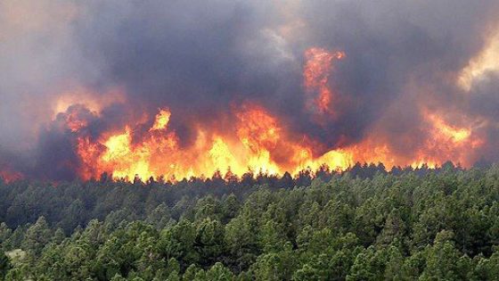 Incendies de forêts : risque “moyen” à “extrême”, dans plusieurs provinces (ANEF)