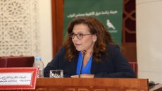 l’approche genre et l’Egalite: vers une institutionnalisation effective