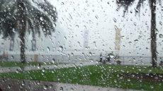 xr:d:DAD0FHcQBGI:22453,j:29108084468,t:22062109