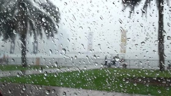 xr:d:DAD0FHcQBGI:22453,j:29108084468,t:22062109