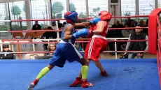 JO DE PARIS/BOXE : a cause de mauvais résultats aux JO, limogeage de la direction technique nationale