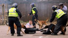 Police dogs attack a man during an anti-immigration protest in Rotherham, Britain, August 4, 2024. REUTERS/Hollie Adams TPX IMAGES OF THE DAY