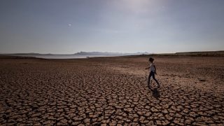 Rapport annuel de BANK -AL MAGHREB: Un volet agricole alarmant