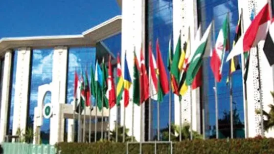 l’ICESCO : nouvelle étude pour renforcer “les mécanismes législatifs pour lutter contre le trafic illicite des biens culturels dans les pays arabes”