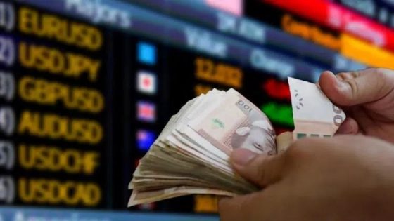 Transferts des MRE : un niveau record des recettes à 115,3 MMDH en 2023 (Rapport)