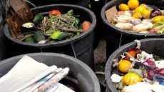 Gaspillage alimentaire : Une proposition de loi pour inverser la tendance