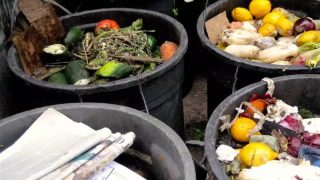 Gaspillage alimentaire : Une proposition de loi pour inverser la tendance