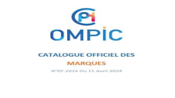 Maroc : 40.874 entreprises créées à fin mai 2024 (OMPIC)
