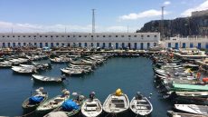 Marhaba 2024: Plus de 45.000 MRE ont transité par le port d’Al Hoceima