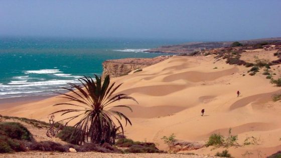 Sahara marocain : une terre prospère en plein essor, selon un média brésilien