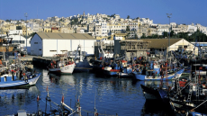 Ports situés sur la Méditerranée: Baisse de 13% des débarquements de pêche à fin août (ONP)