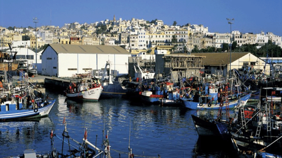 Ports situés sur la Méditerranée: Baisse de 13% des débarquements de pêche à fin août (ONP)
