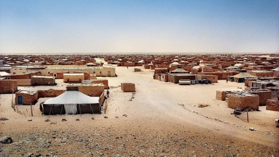 CDH Genève dénonce Les violations graves des droits de l’Homme commises dans les camps de Tindouf