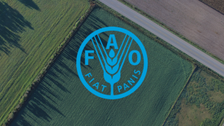 FAO: hausse remarquable des prix des produits alimentaires en septembre