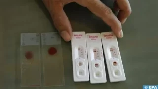 Le paludisme se propage amplement dans le sud de l’Algérie