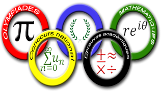 Olympiade arabe des mathématiques à Doha: L’équipe nationale rafle 4 médailles