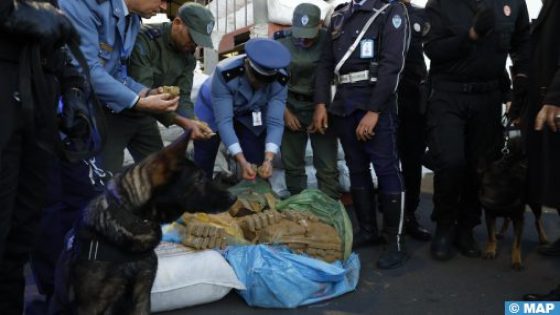 Port de Casablanca : Avortement d’une tentative de trafic de 3,619 tonnes de Chira (source sécuritaire)