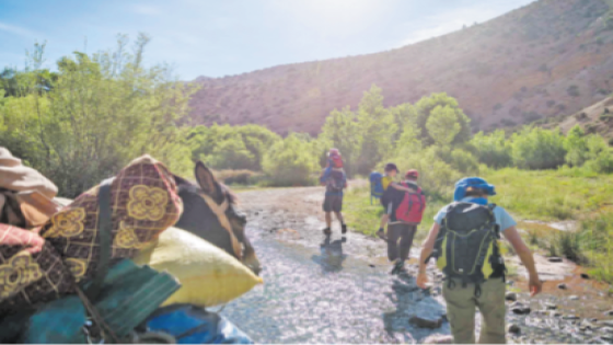 AG de l’ONU: Adoption à New York de la résolution marocaine sur le tourisme durable