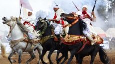 El Jadida : Ouverture du Moussem Moulay Abdellah Amghar